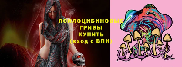 МДМА Бородино