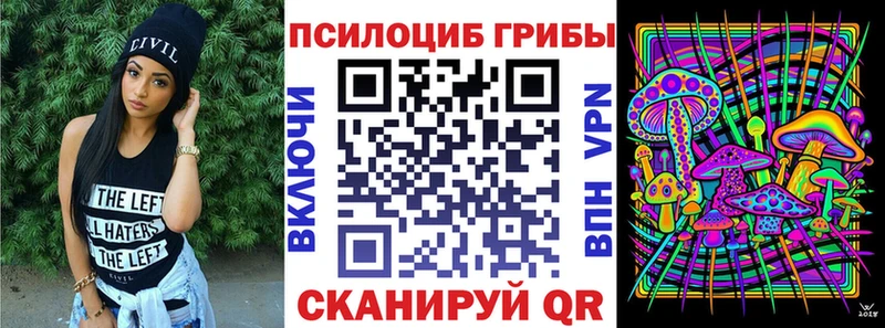 Галлюциногенные грибы Cubensis  Купить закладки  Куса 